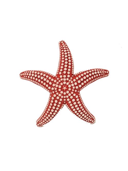mattonella a forma di stella marina L'Oasi ceramiche | MATTONELLASTELLAMARINAROSSO